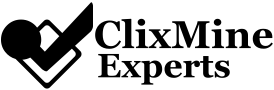 ClixMine Experts